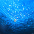 Sell Artworks: Looking Beyond the Blue , underwater seascape with fish