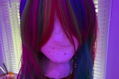 Selling with online payment: Rainbow Wig