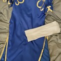 Selling with online payment: Chun Li Classic