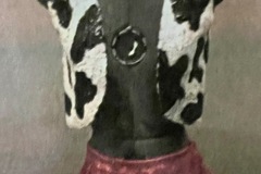 Purchase with online payment: Used Large Group Musical Theater/Novelty Costumes