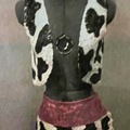 Purchase with online payment: Used Large Group Musical Theater/Novelty Costumes
