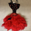 Purchase with online payment: Used Large Group Jazz/Tap Costumes