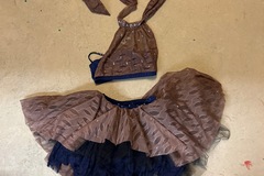 Purchase with online payment: Used Small Group Contemporary/Lyrical Costumes