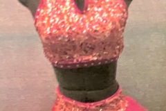 Purchase with online payment: Used Large Group Jazz/Tap Costumes