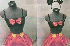 Purchase with online payment: Used Small Group Musical Theater/Novelty Costumes