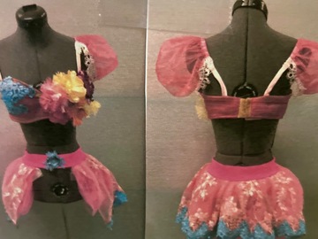 Purchase with online payment: Used Small Group Jazz/Tap Costumes
