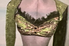 Purchase with online payment: Used Large Group Jazz/Tap Costumes