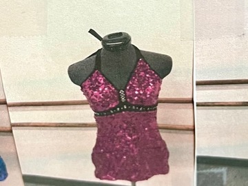 Purchase with online payment: Used Large Group Jazz/Tap Costumes