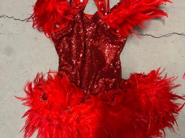 Purchase with online payment: Used Small Group Jazz/Tap Costumes