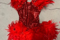 Purchase with online payment: Used Small Group Jazz/Tap Costumes