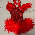 Purchase with online payment: Used Small Group Jazz/Tap Costumes