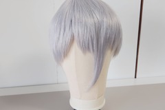 Selling with online payment: Houseki no Kuni | Antarcticite | Kasou Wig