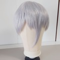 Selling with online payment: Houseki no Kuni | Antarcticite | Kasou Wig