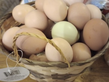 Selling with online payment: Hatching Eggs