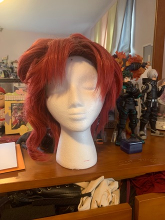 Kakyoin Noriaki Costume and Wig