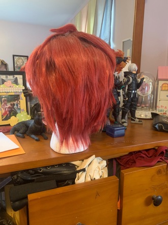 Kakyoin Noriaki Costume and Wig