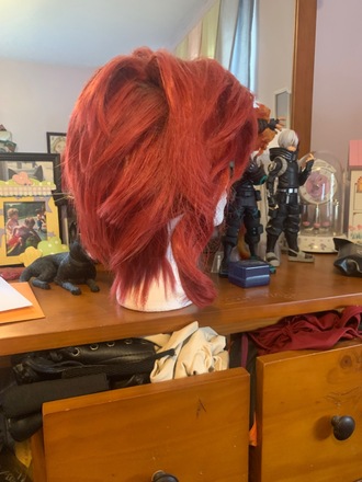 Kakyoin Noriaki Costume and Wig
