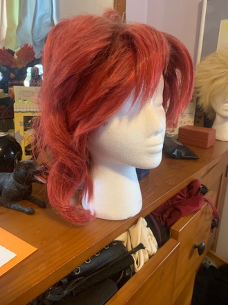 Kakyoin Noriaki Costume and Wig