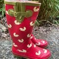 General outdoor: Bright red ‘chickens’ wellies