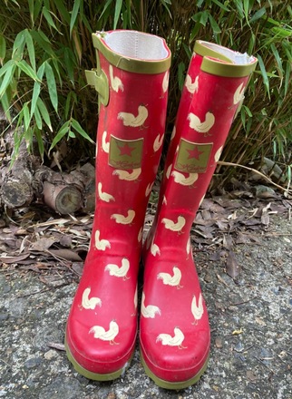 Rubber boots with chickens on them sales