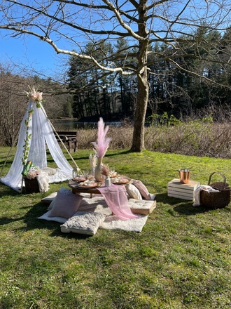 Luxury Picnics