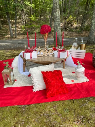 Luxury Picnics