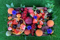 News: Votre primeur à Maisons Laffitte