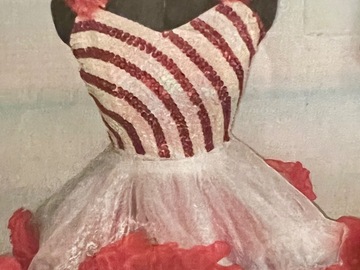 Purchase with online payment: Used Small Group Jazz/Tap Costumes