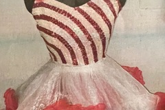 Purchase with online payment: Used Small Group Jazz/Tap Costumes