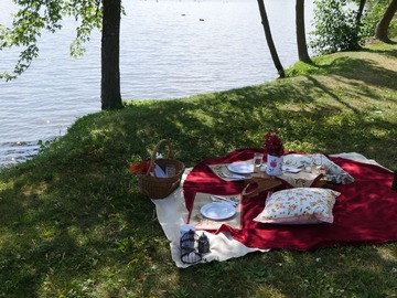 Offering with online payment: Red Theme Simple Picnic