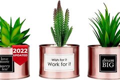 Comprar ahora: Fortivo Set of 3 Artificial Cactus Succulents – Rose Gold 