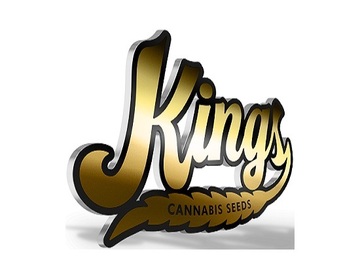  : Kings Seedbank