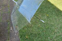 Selling: Clear & Opaque Umbrellas