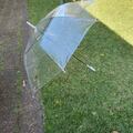 Selling: Clear & Opaque Umbrellas