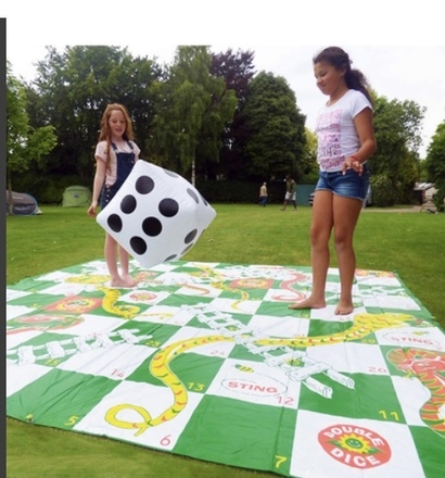 Giant Snakes and Ladders