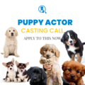 Casting call: CLOSEDPUPPIES needed for Los Angeles ( UPDATE - OCTOBER DATE TBD)