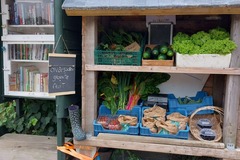 Selling: Biologische groente bij D'r Moostuin