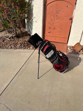 Set of Lion clubs with bag