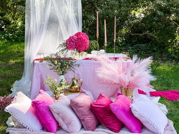 Offering without online payment (No Fees): Pink Lover | Barbie Picnic