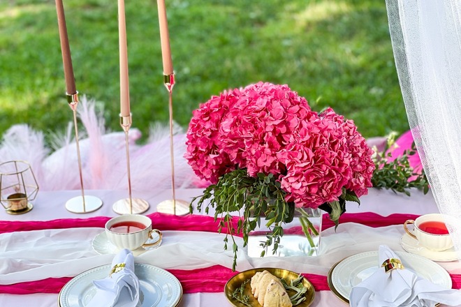 Pink Lover | Barbie Picnic
