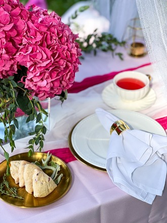 Pink Lover | Barbie Picnic