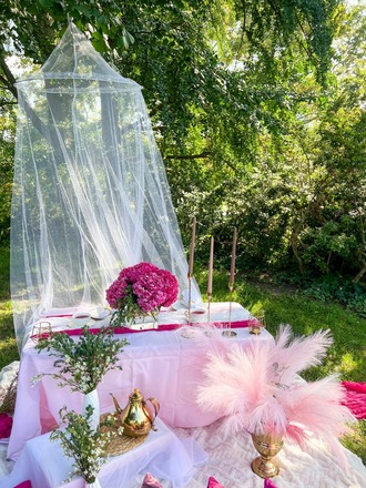 Pink Lover | Barbie Picnic