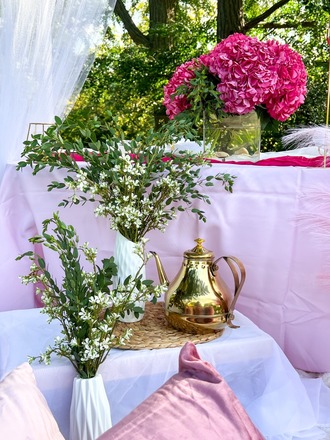 Pink Lover | Barbie Picnic