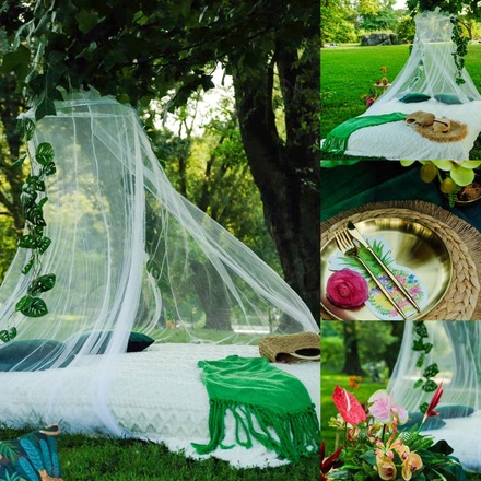 Tropical Picninc