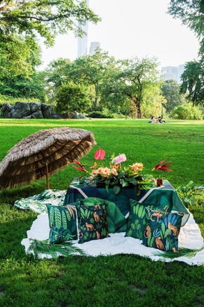 Tropical Picninc