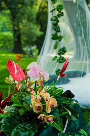 Tropical Picninc