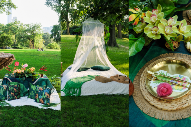 Tropical Picninc