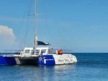 Requesting: Needed - Sailing Catamarans Captains - Aruba