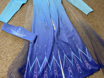Selling with online payment: Frozen 2 Elsa