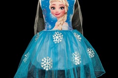 Selling with online payment: Disney Frozen Elsa Dress size 3T